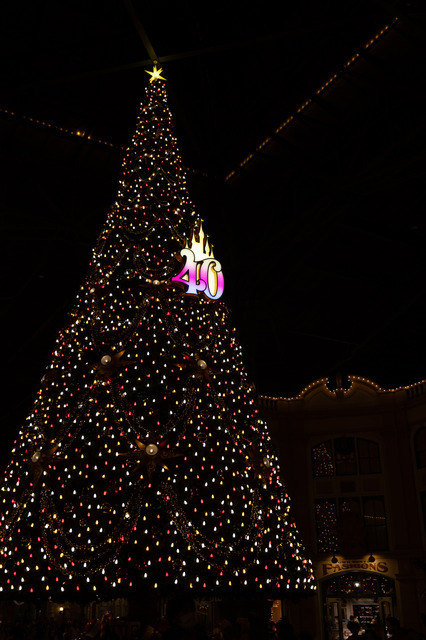 圧倒的にロマンティック！約15メートル、40周年の巨大クリスマスツリーの見逃せない輝き