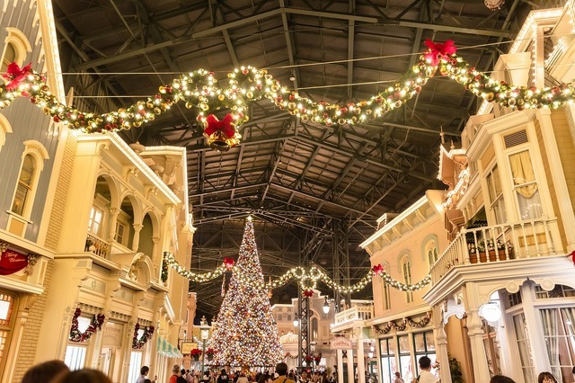 圧倒的にロマンティック！約15メートル、40周年の巨大クリスマスツリーの見逃せない輝き