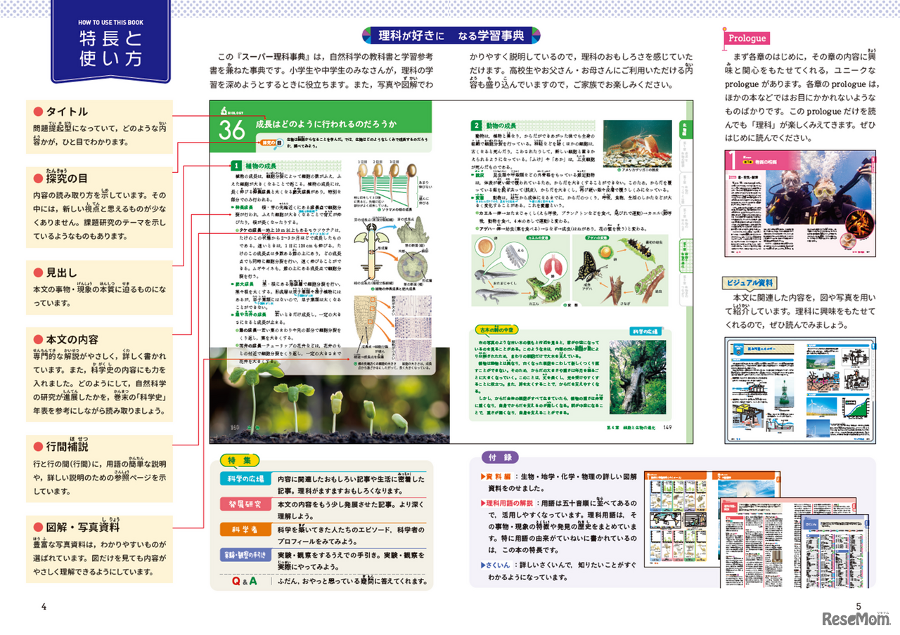 特長と使い方
