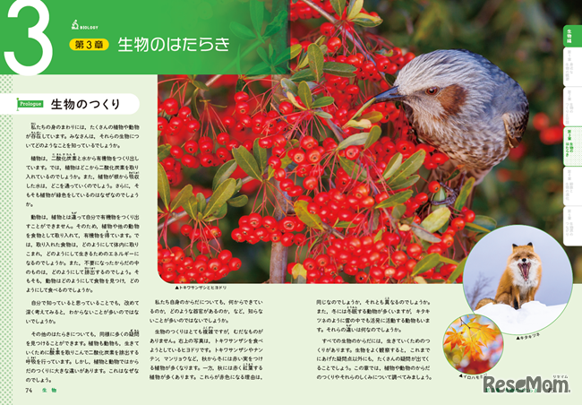 Prologue（プロローグ）第3章