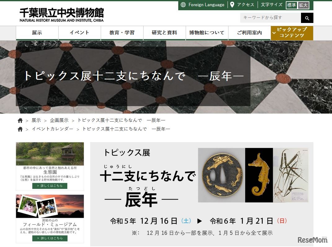 千葉県立中央博物館「十二支にちなんでー辰年ー」