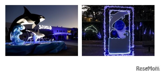 ウインターイルミネーション点灯