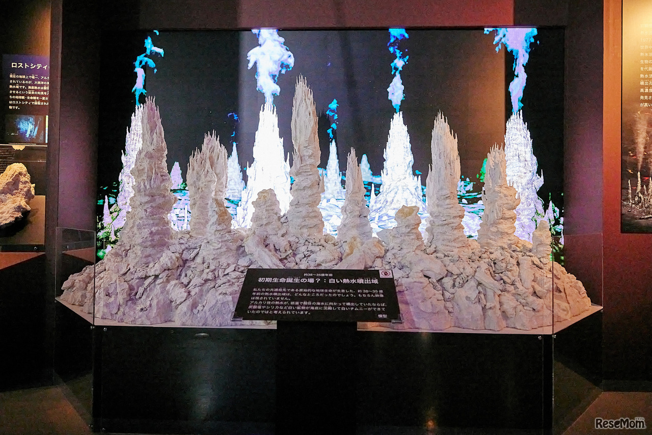 東京展のようす