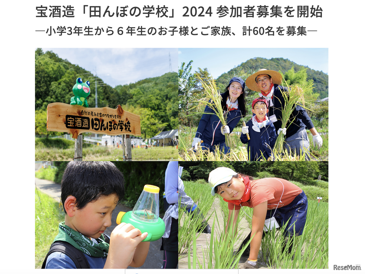 宝酒造「田んぼの学校」2024 参加者募集を開始