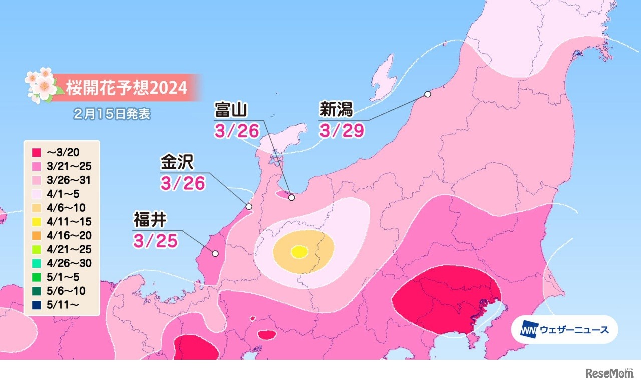 北陸の桜開花予想