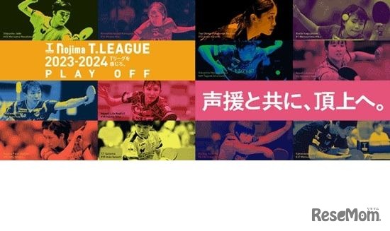 ノジマTリーグ 2023-2024シーズン プレーオフ