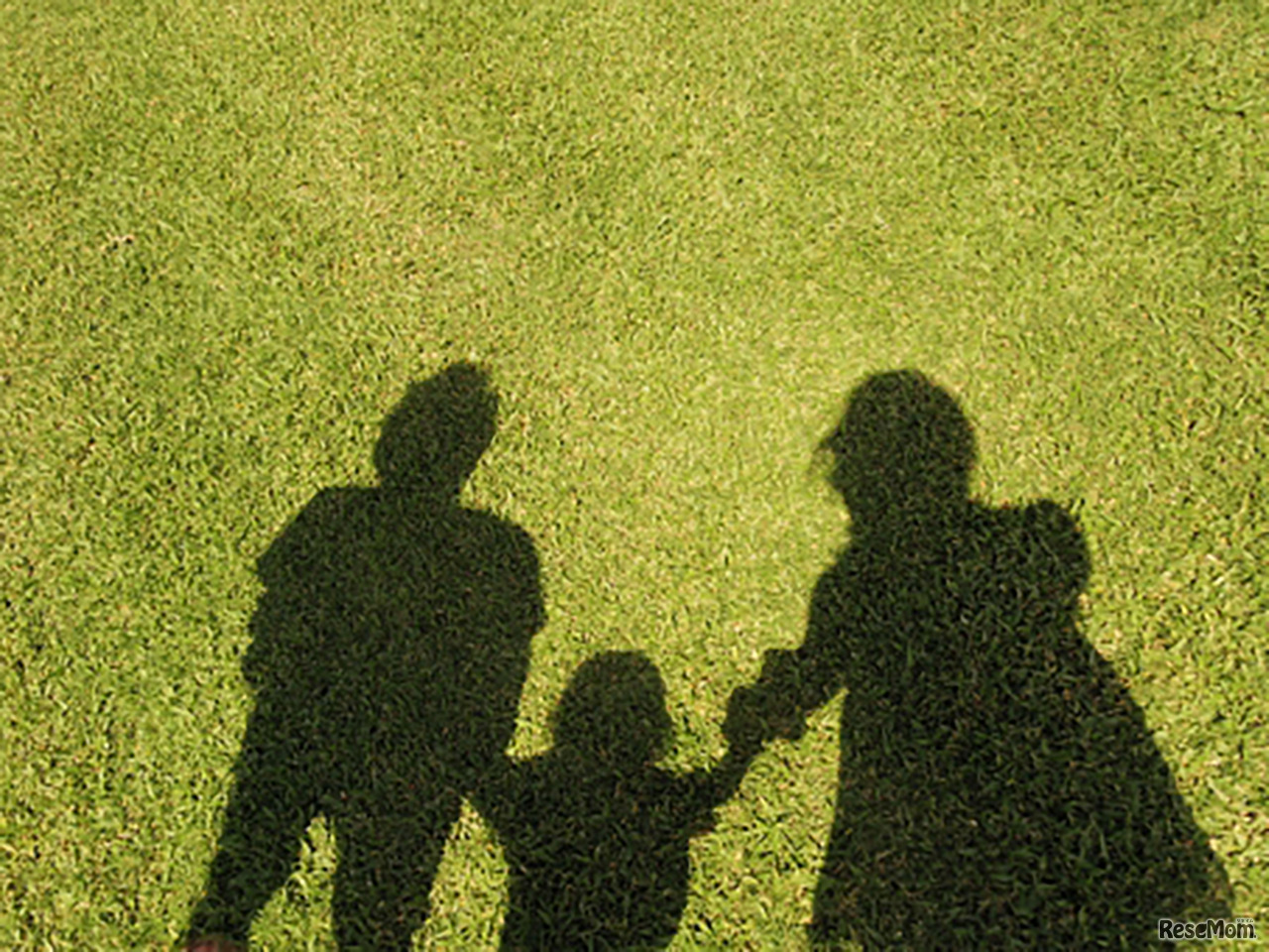 画像はイメージ