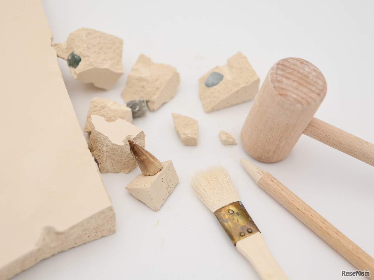 トレジャーハンター・発掘体験