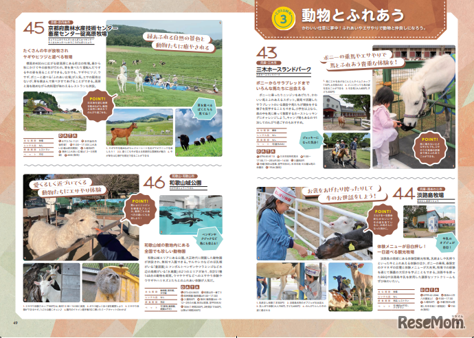 動物とふれあう