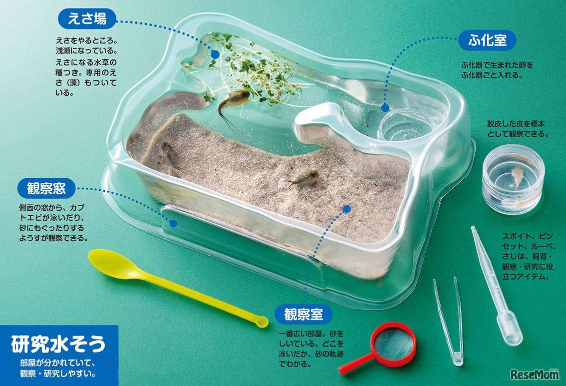 「学研の科学」第6弾 ほんものの生物の休眠卵が付いたキット、水そうは役割ごとに部屋がわかれている