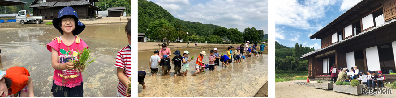 お米づくり体験スクール【田植え編】
