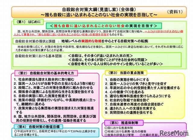 自殺総合対策大綱（全体像）