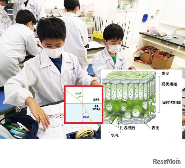 体験することで嫌いを払拭