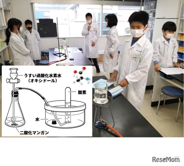 体験することで嫌いを払拭