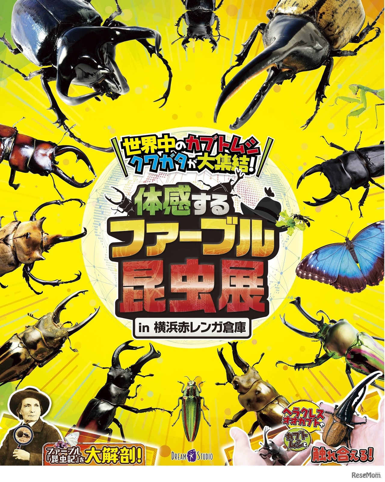 体感するファーブル昆虫展 in 横浜赤レンガ倉庫