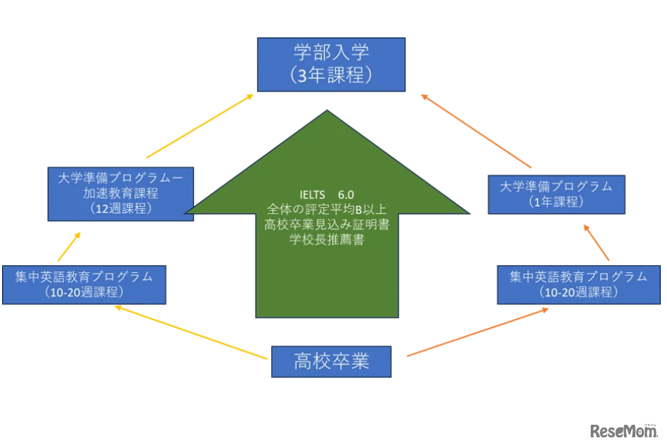 マッセイ大学 学士課程への進学オプションと要件