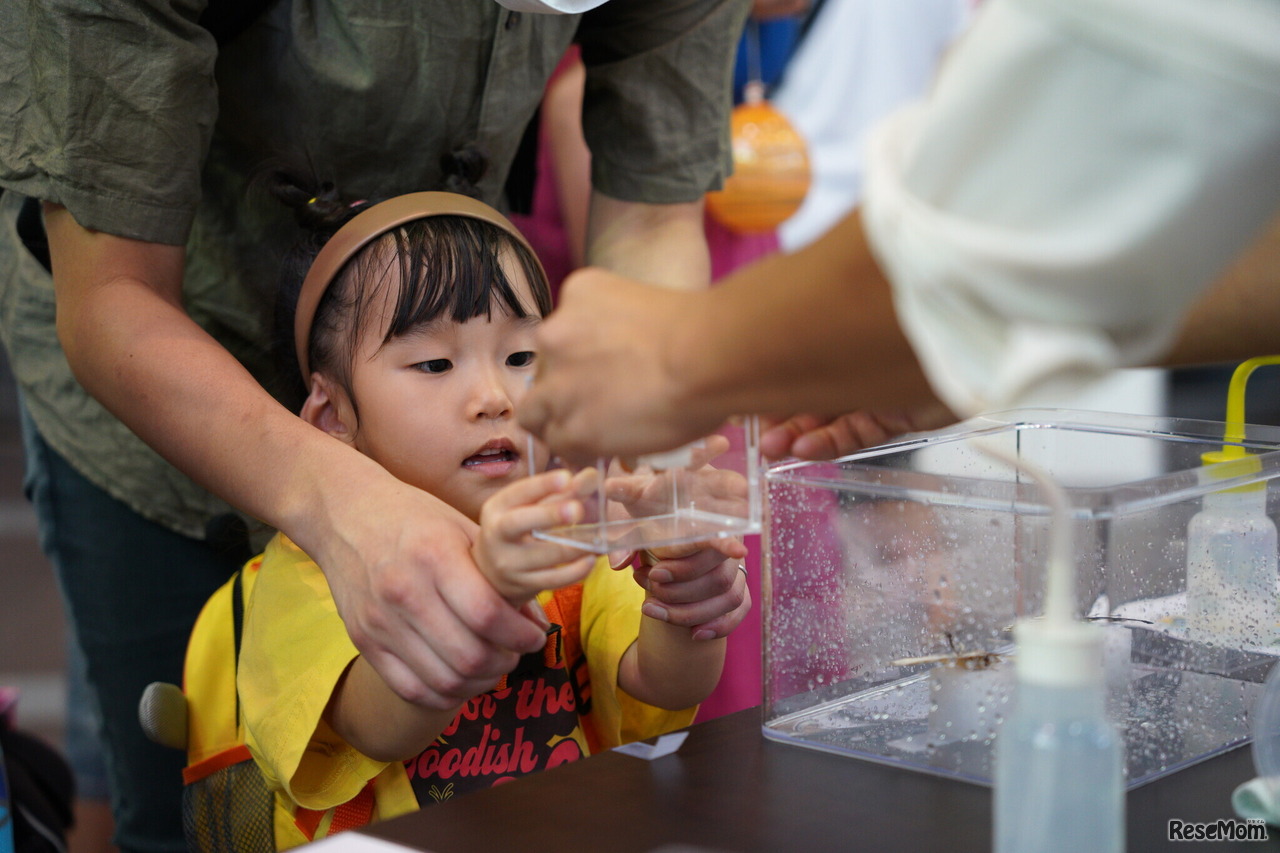 こども起業、企業・店舗体験
