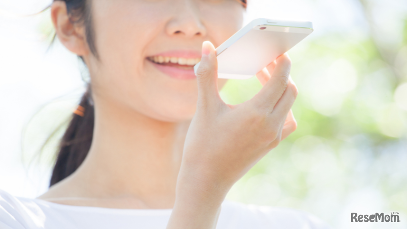 音声入力での会話も可能