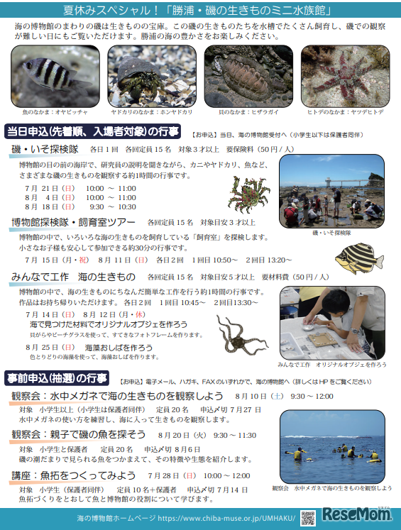 海の博物館「夏休みスペシャル 勝浦・磯の生きものミニ水族館」