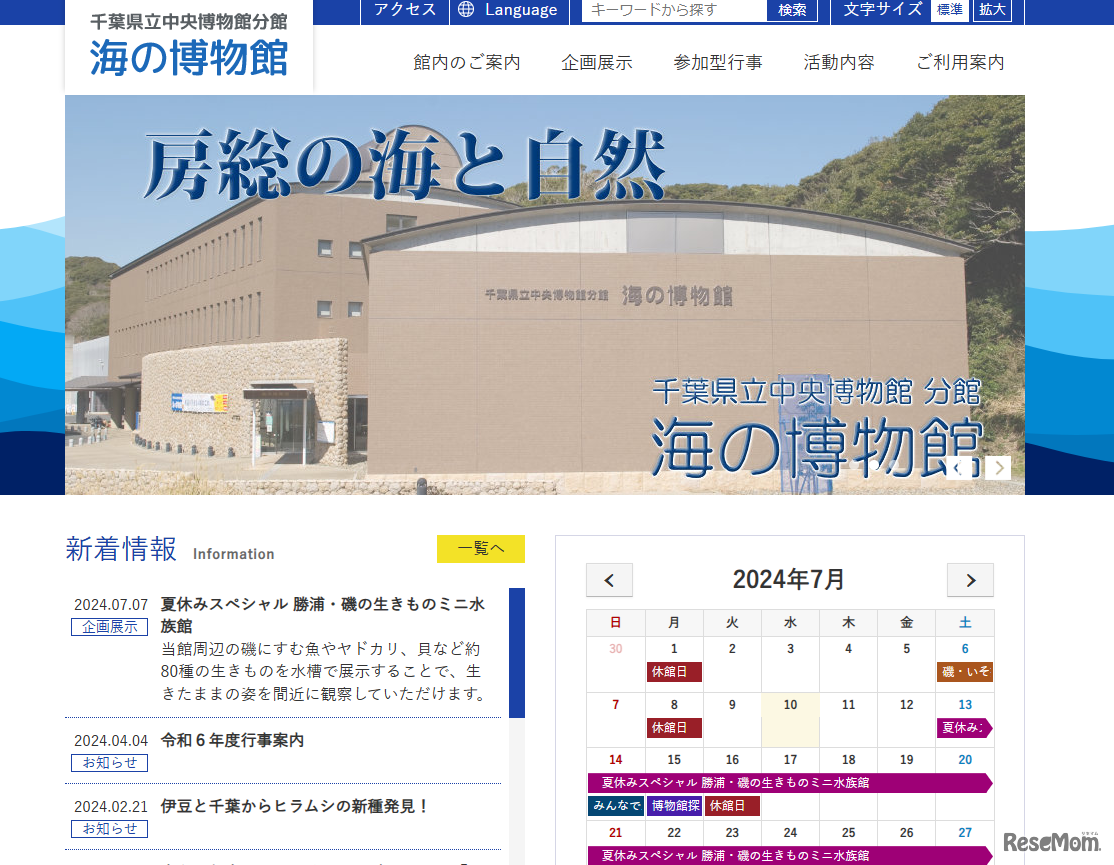 千葉県立中央博物館 分館海の博物館
