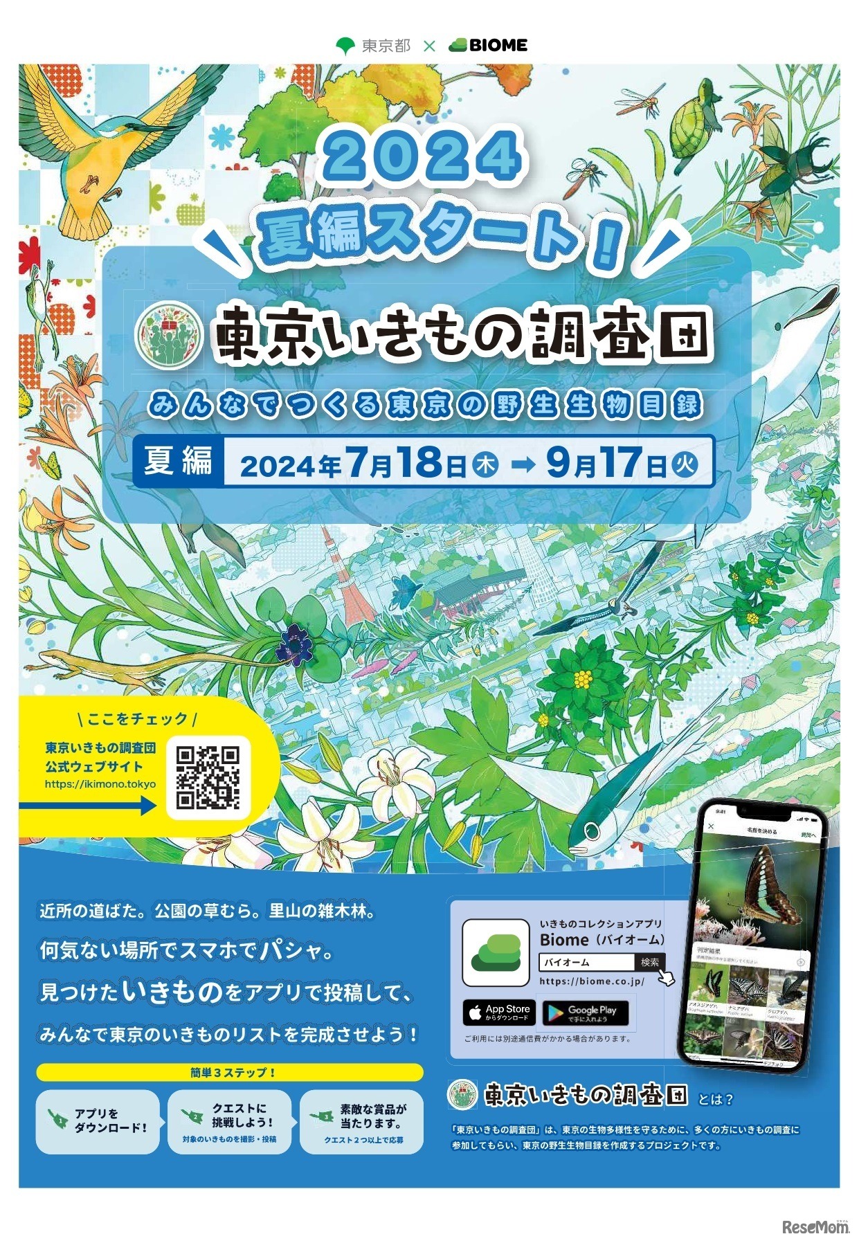 東京いきもの調査団2024夏編