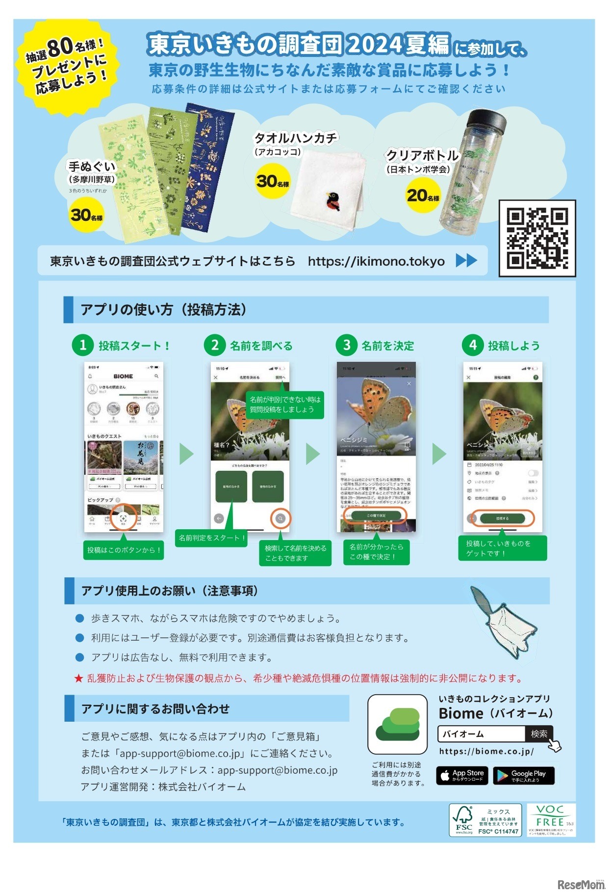 東京いきもの調査団2024夏編