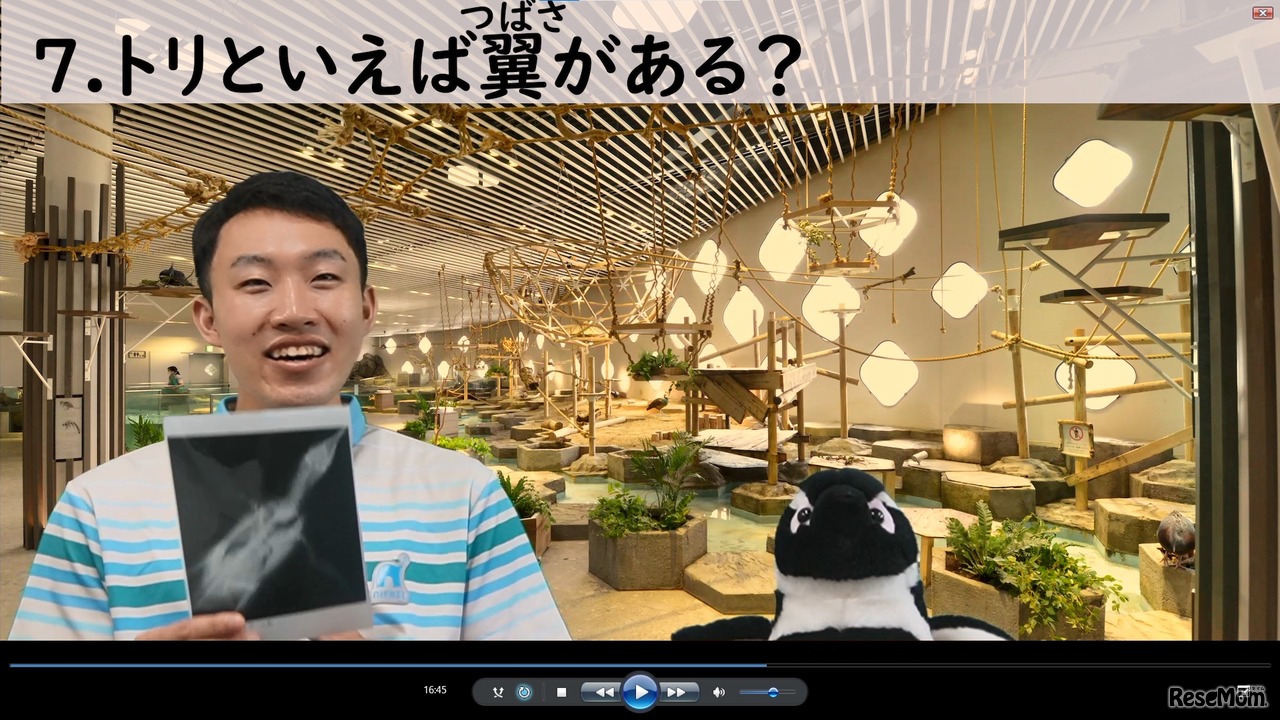 小学生向け学習プログラム「予想外にふれる」