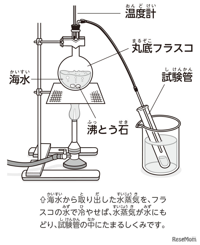 【自由研究】海水から真水を取り出せ！（化学）