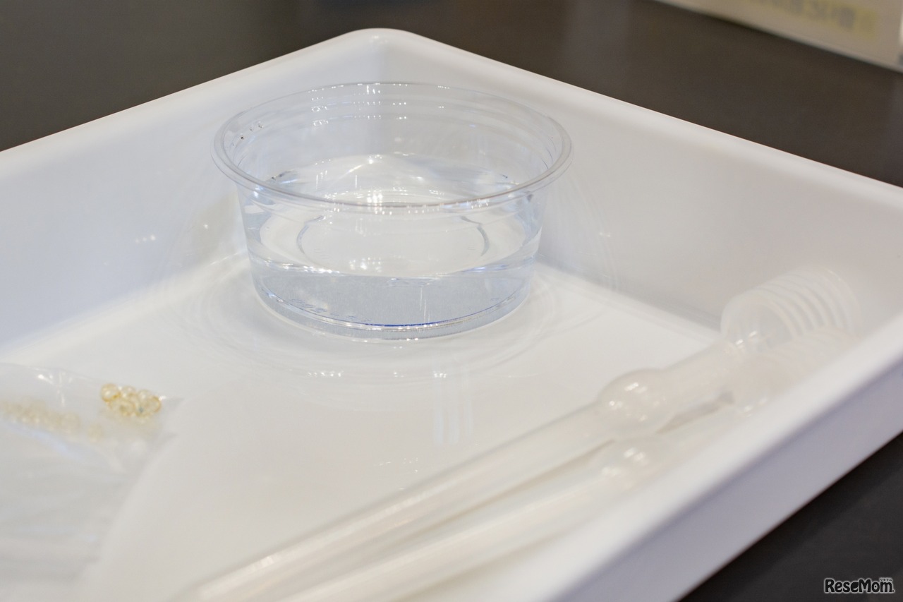 画像はイメージです