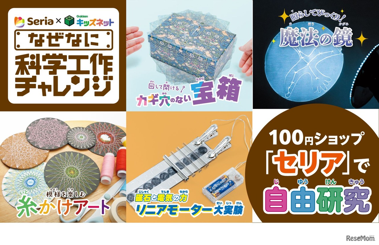 100円ショップ「セリア」で自由研究