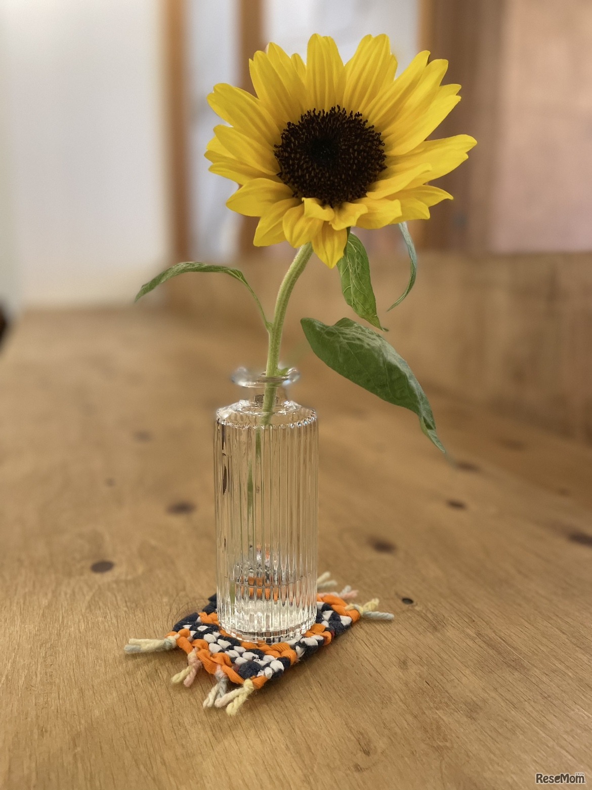 SDGs 夏の自由研究ワークショップ「古着を使って作ってみよう！」