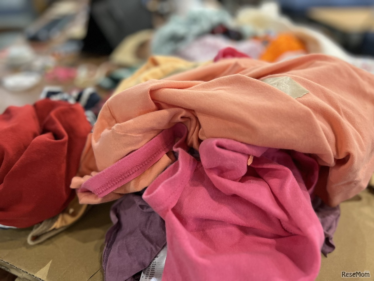 SDGs 夏の自由研究ワークショップ「古着を使って作ってみよう！」