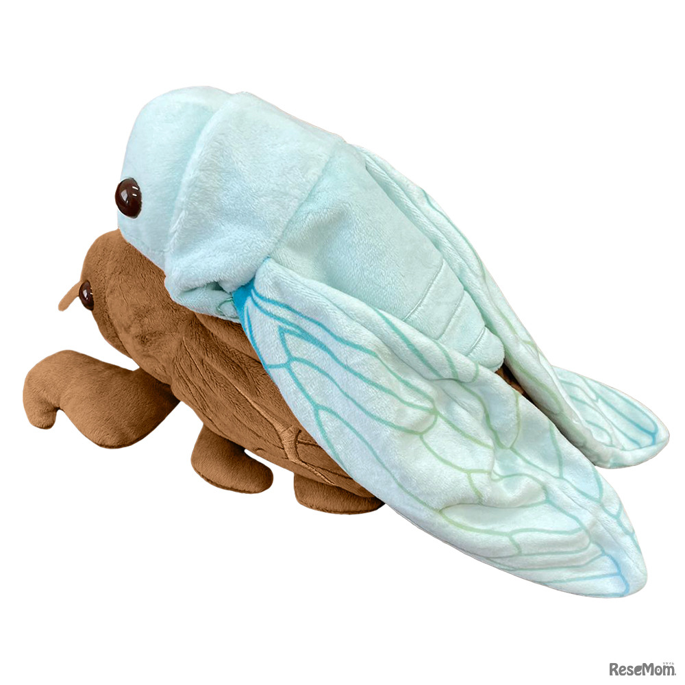 グッズ「セミの抜け殻からセミ」