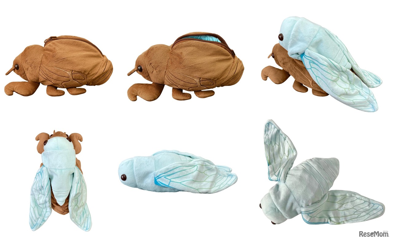 グッズ「セミの抜け殻からセミ」