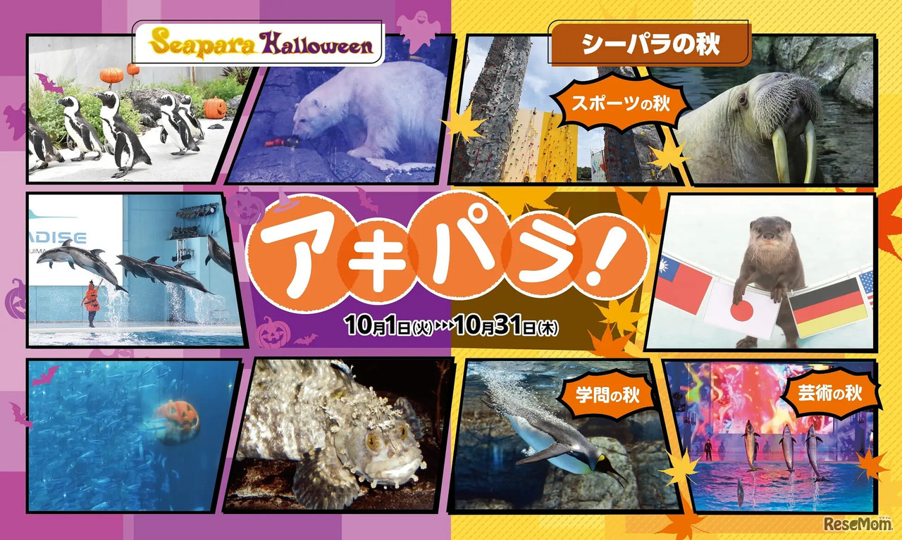 秋イベント「アキパラ！」