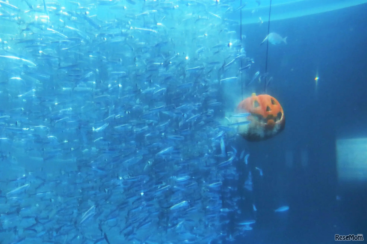 ハロウィンファンタジー