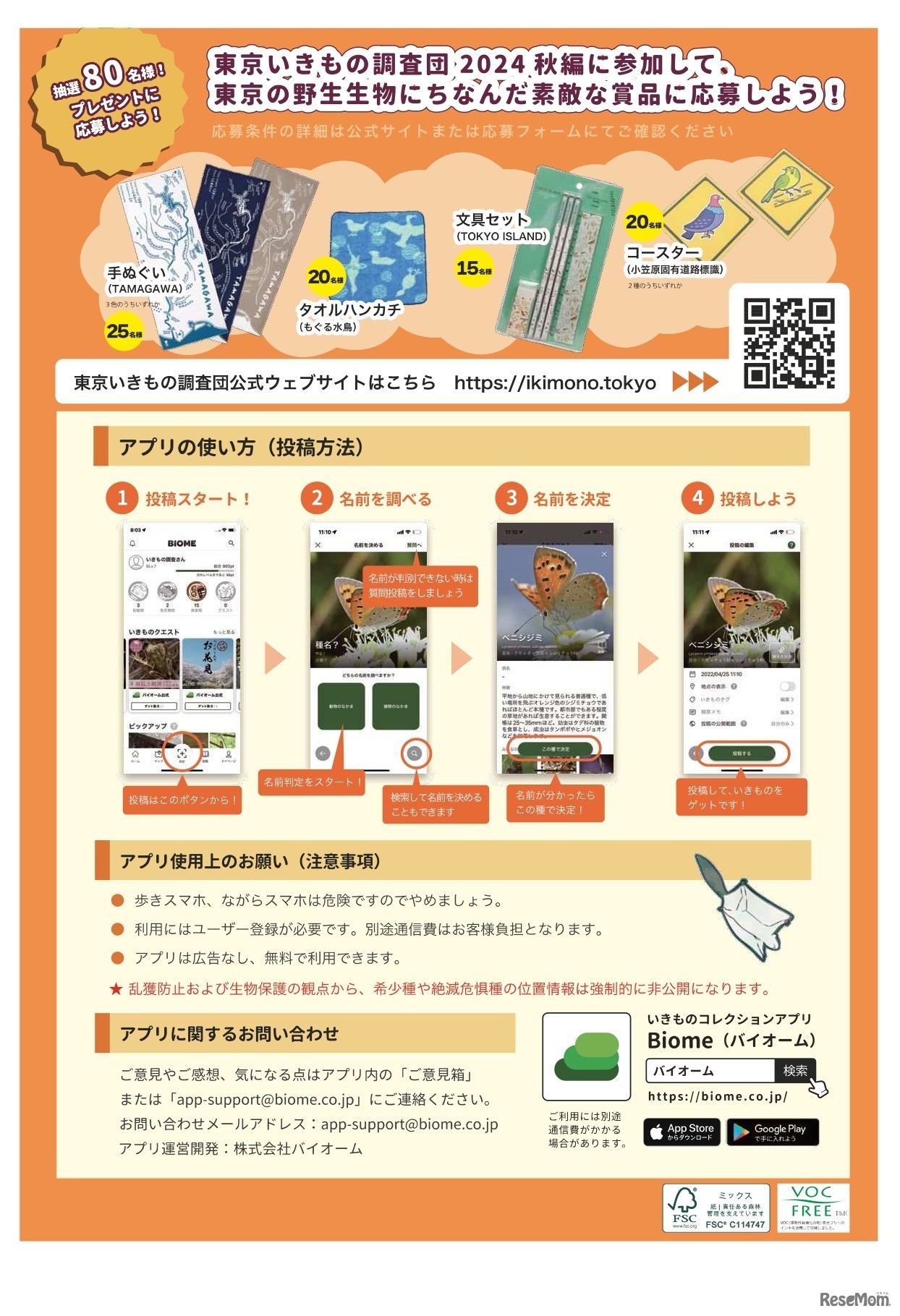 東京いきもの調査団2024秋編