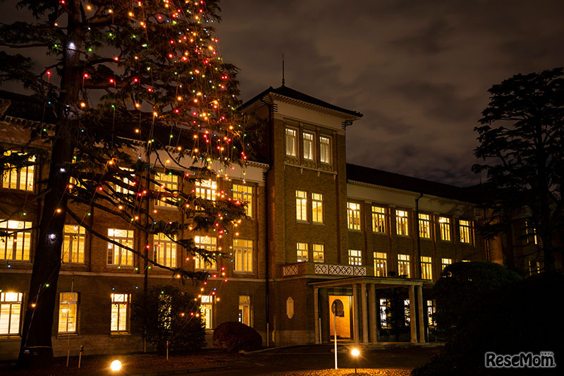 津田塾大学のライトアップのようす