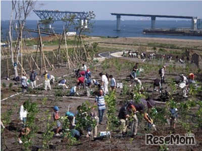 2009年（平成21年）の植樹のようす