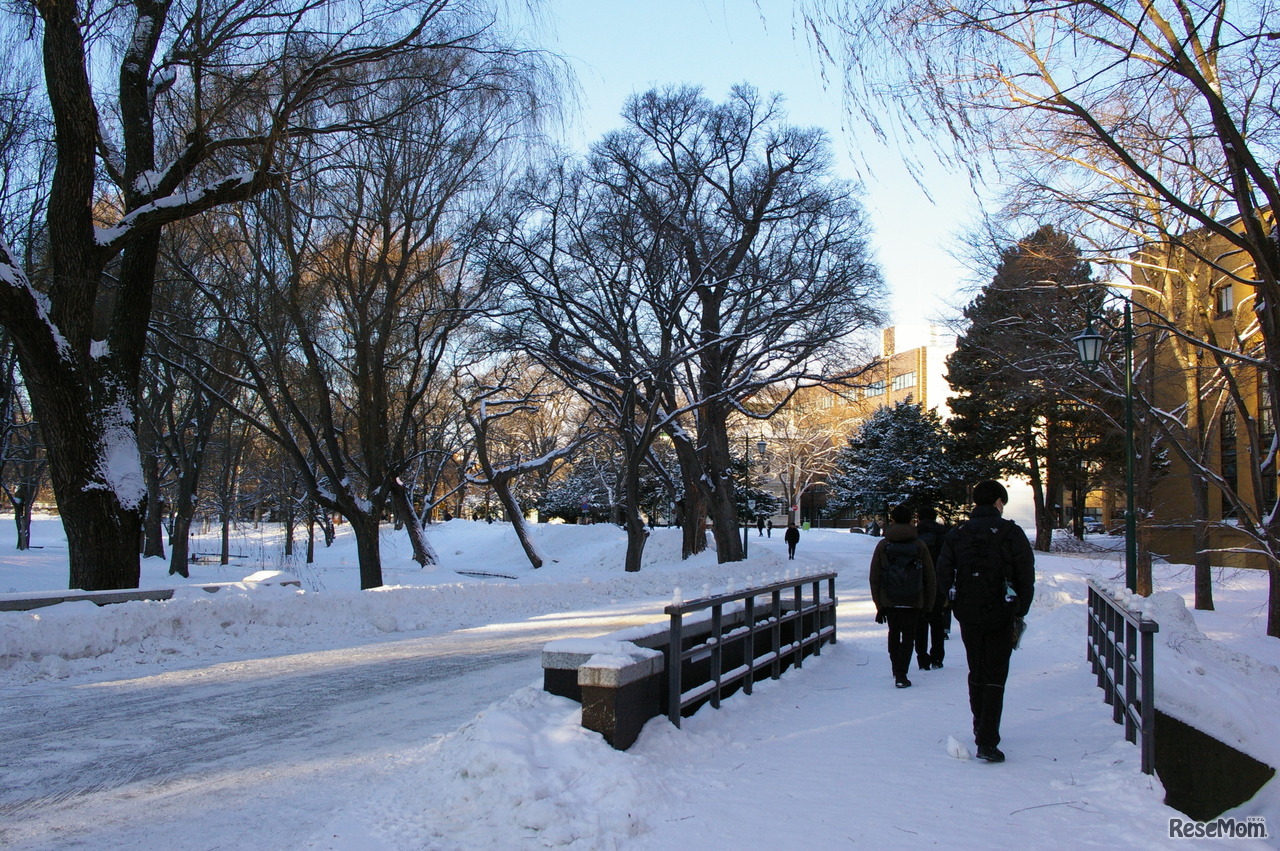試験会場に向かう橋に雪だるま