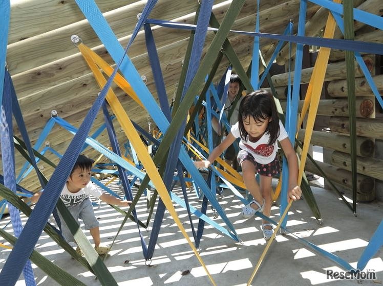 アスレチックキャンプのイメージ