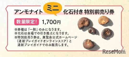 前売り限定の化石付きチケット