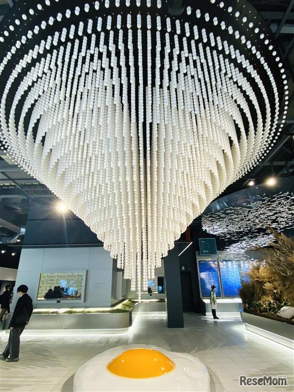 日本人ひとりが一生で食べる卵の数は約28,000個