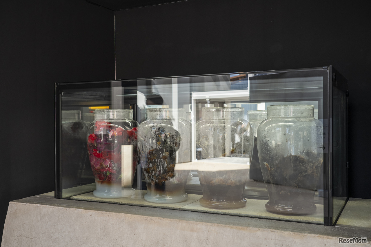 無限メタモルフォーゼ