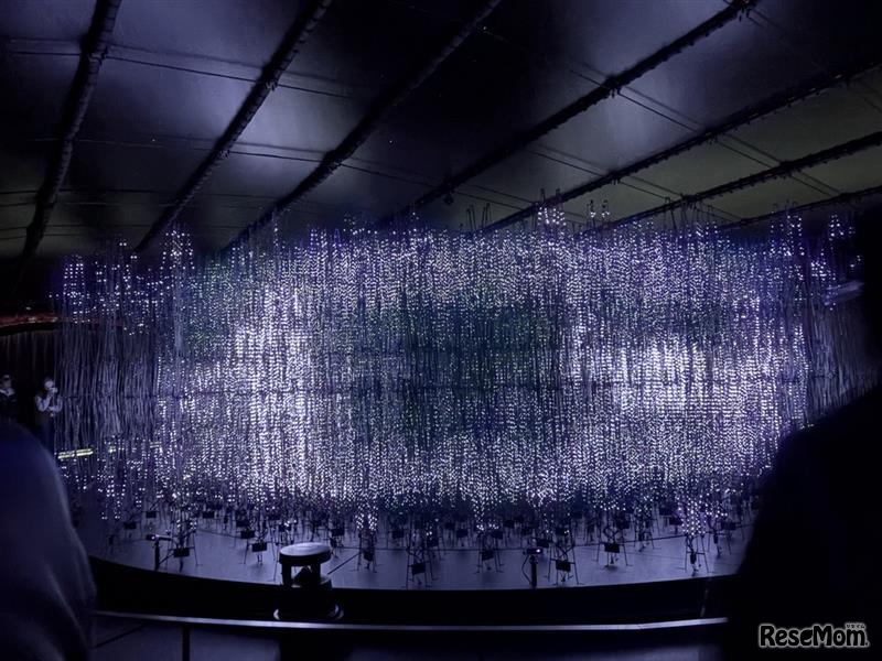 光によるインスタレーションで、小さな細胞からほ乳類へと至る生物の歩みを表現