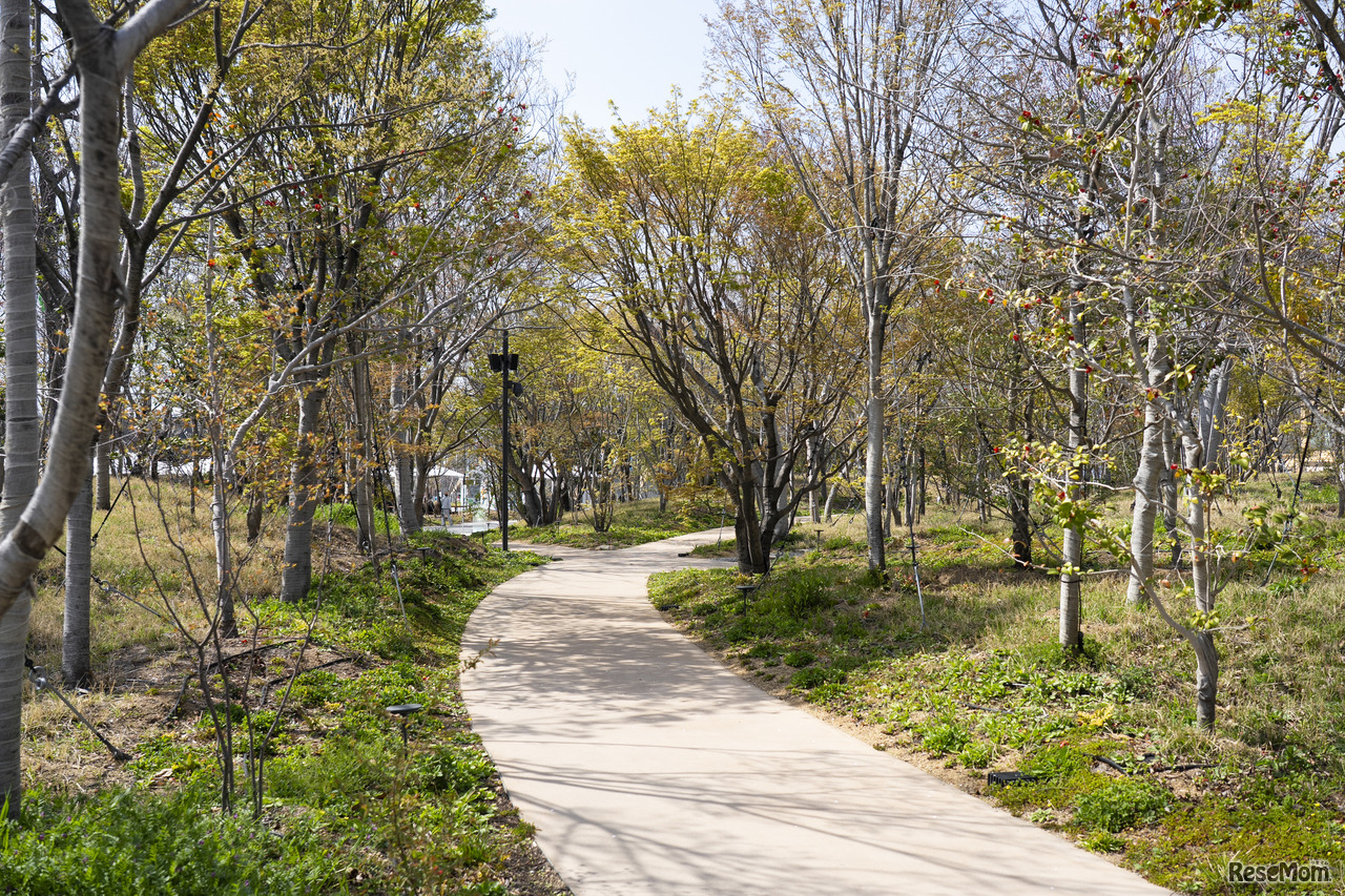 現地からお届け！大阪・関西万博で親子ワクワク未来体験