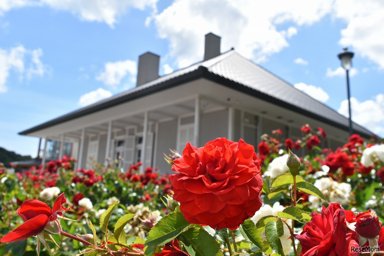 横須賀市ヴェルニー公園