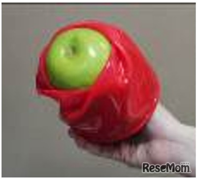 「ROSE」ハンド（北陸先端科学技術大学院大学）