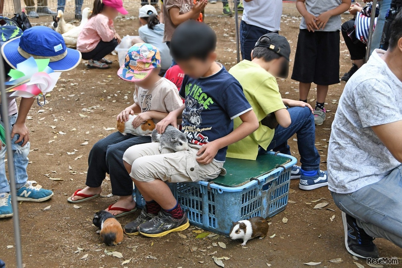 民家のにわ こどもどうぶつえん