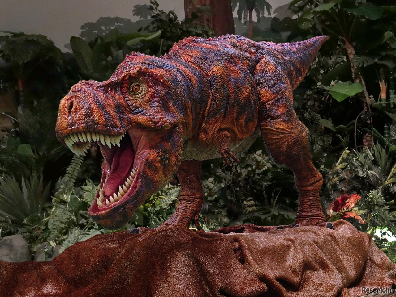 画像はイメージ